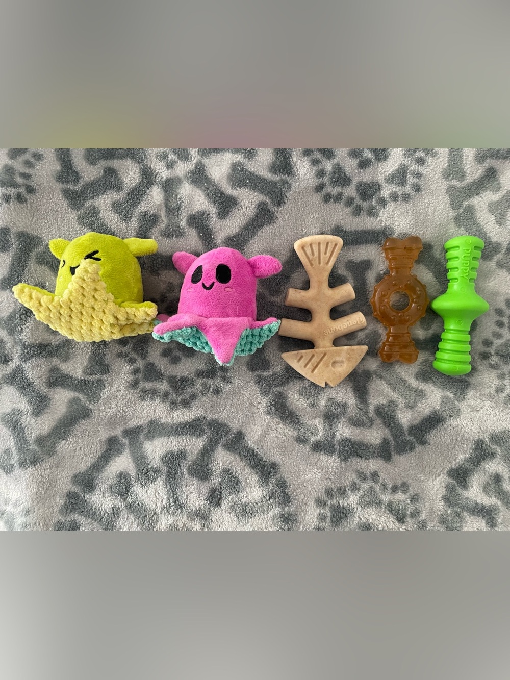 Bundle 15 new small dog toys